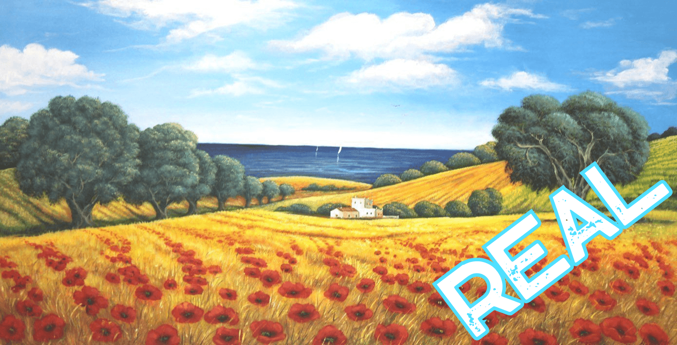 AppLoad DIGITAL DETECTIVE 