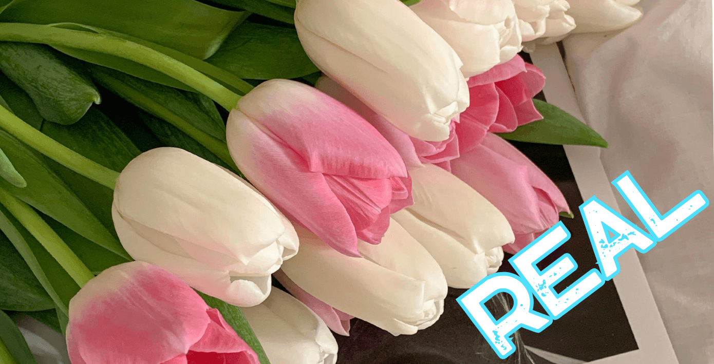 AppLoad DIGITAL DETECTIVE 