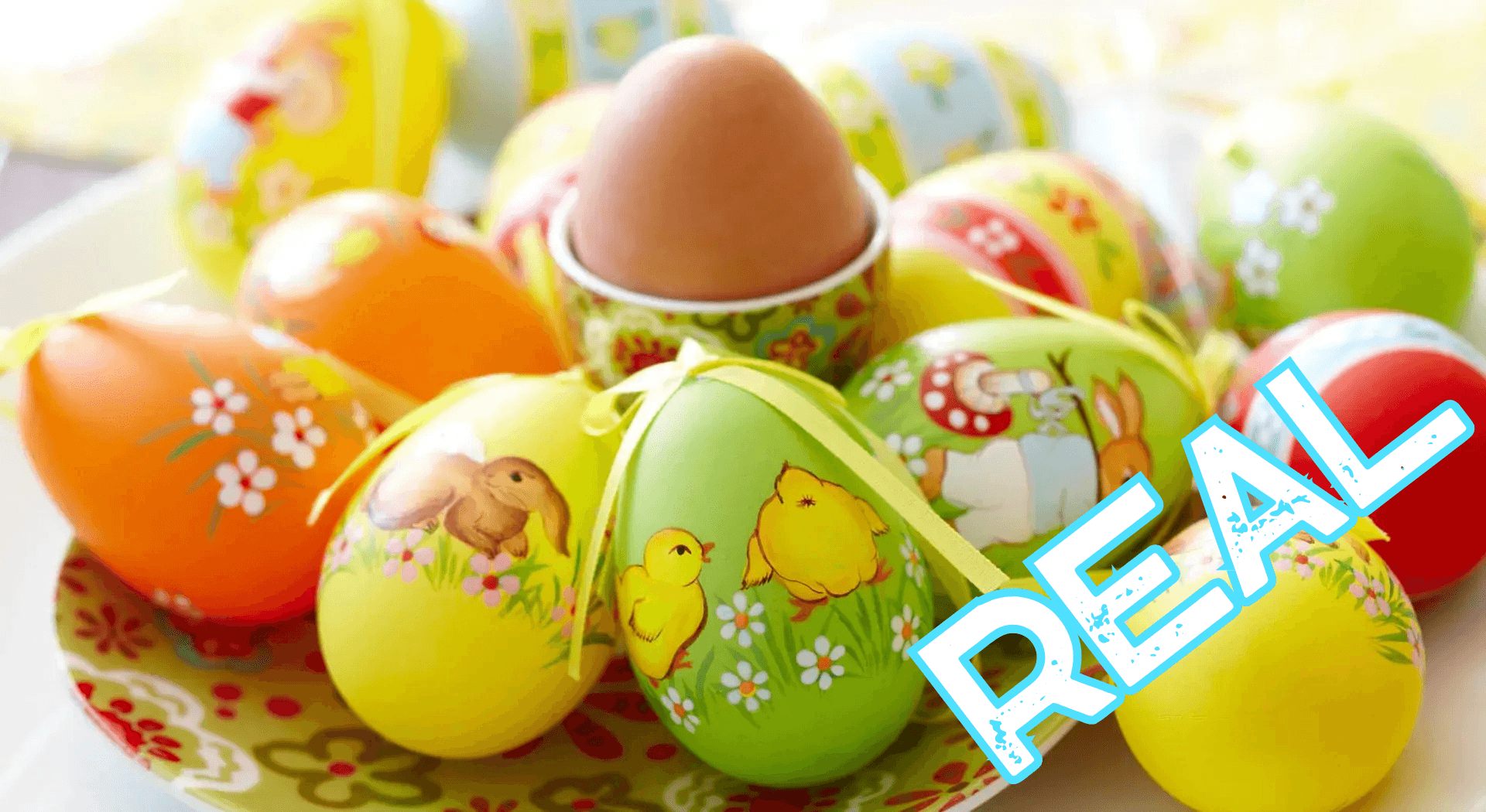 AppLoad DIGITAL DETECTIVE 