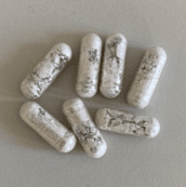 PROTOTIPO CAPSULE CON PROBIOTICI SYNBIO® ED ESTRATTO DI VINACCIA